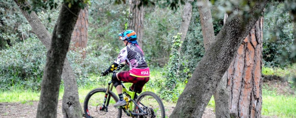 Pine forest bicycle path