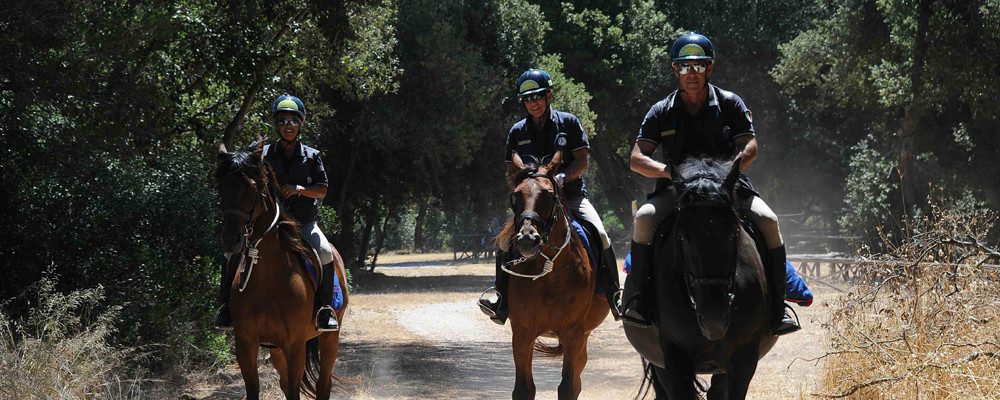 La Riserva del Litorale e la Tenuta Procoio